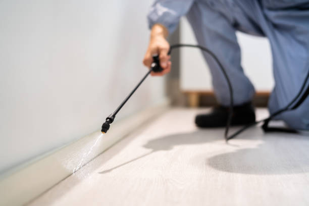 Licensed Cockroach Control service in Oakhurst, OK - Nex Pest Control
